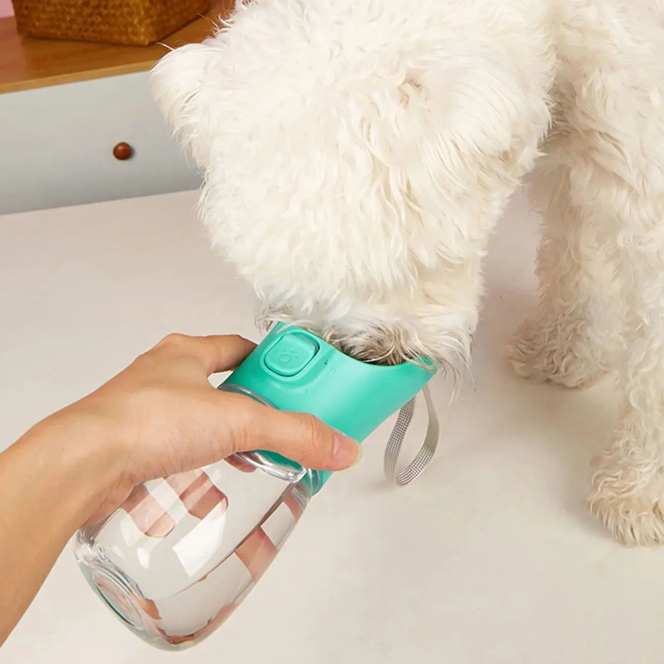 On-the-Go Dog Water Bottle — Dispenser for All Sizes